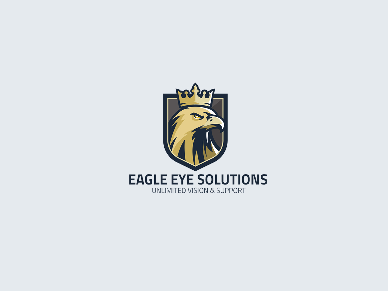 eagle eye solutions